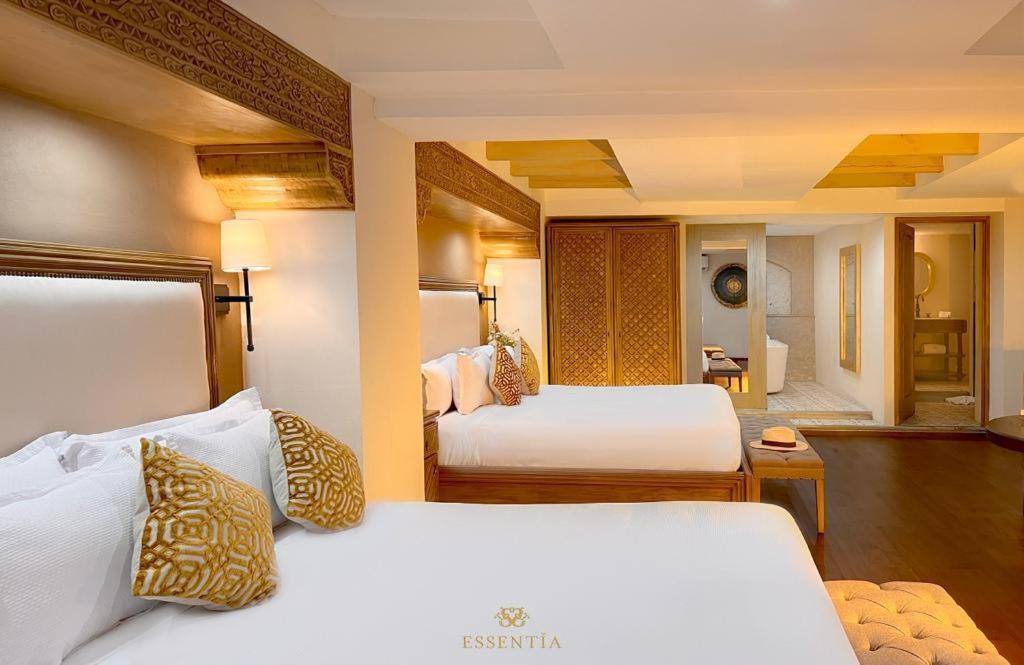 The Essentia Hotel San Miguel San Miguel de Allende Ngoại thất bức ảnh