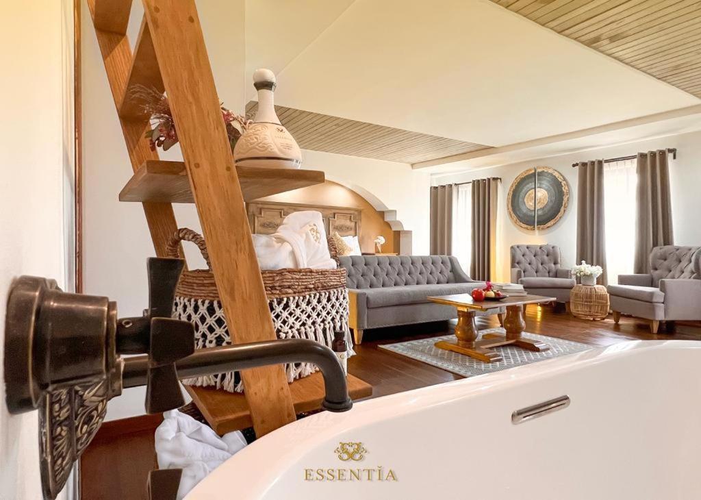 The Essentia Hotel San Miguel San Miguel de Allende Ngoại thất bức ảnh
