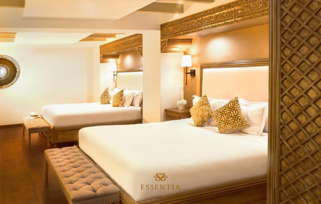 The Essentia Hotel San Miguel San Miguel de Allende Ngoại thất bức ảnh