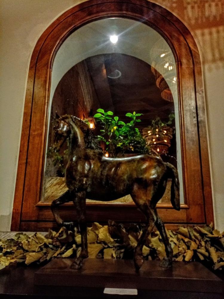 The Essentia Hotel San Miguel San Miguel de Allende Ngoại thất bức ảnh