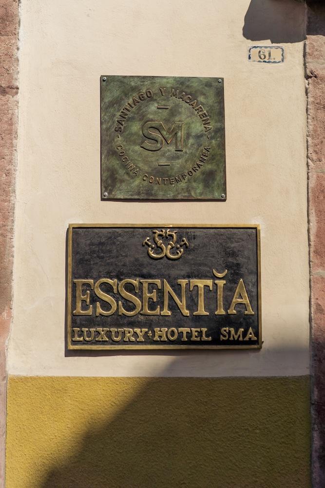 The Essentia Hotel San Miguel San Miguel de Allende Ngoại thất bức ảnh